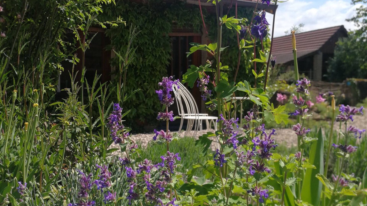 Montcony Bed & Breakfast | Charming bed and breakfast with lovely facilities, breakfast on offer.