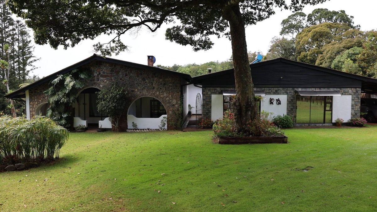 Mutare Bed & Breakfast | Charming bed & breakfast with WiFi and AC in soothing Vumba Room #1