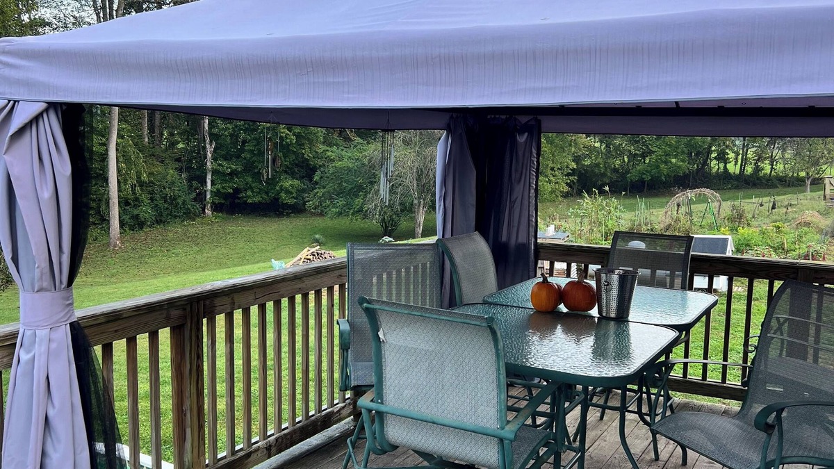 Ferrum House | Charming bedroom in peaceful Ferrum with WiFi and AC
