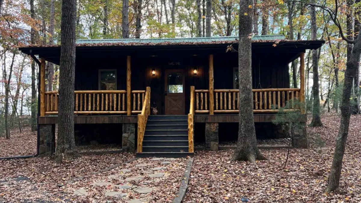 State Road Cabin | Charming cabin in State Road with WiFi, AC, and big window to watch wildlife.