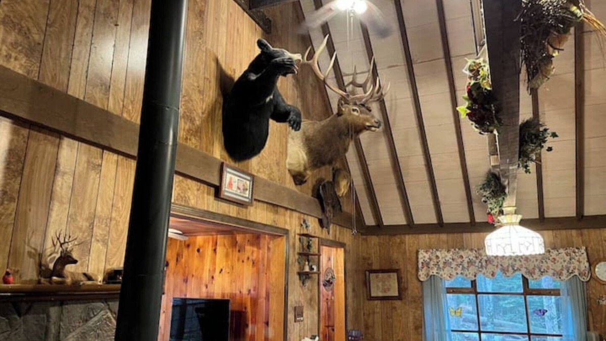 Fairmount Springs Cabin | Charming Cabin in the Woods Close to Ricketts Glen