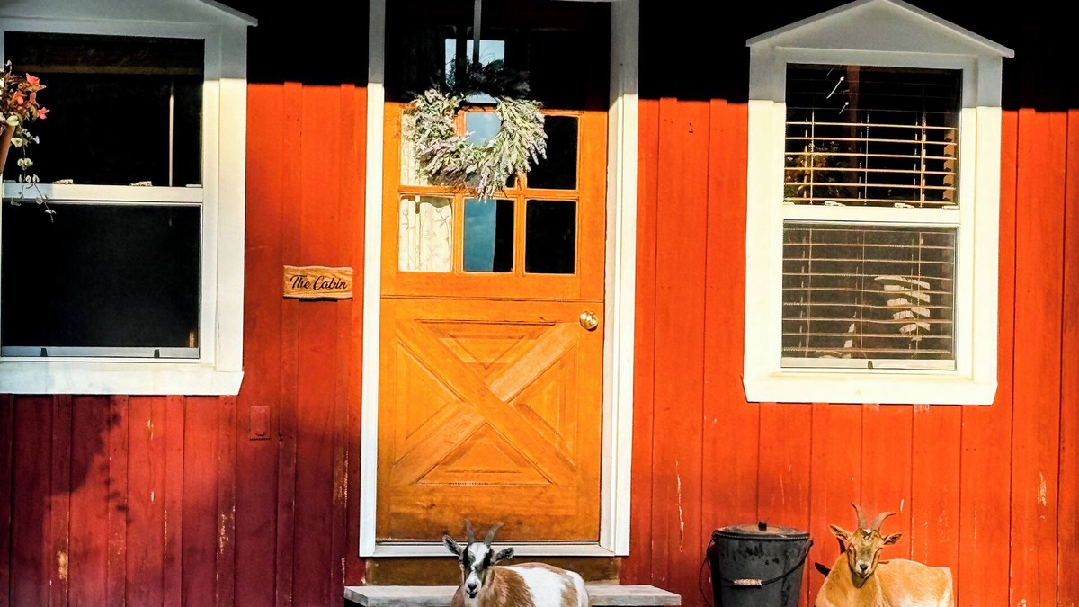 Portage House | Charming Cabin on horse farm minutes from Letchworth State park