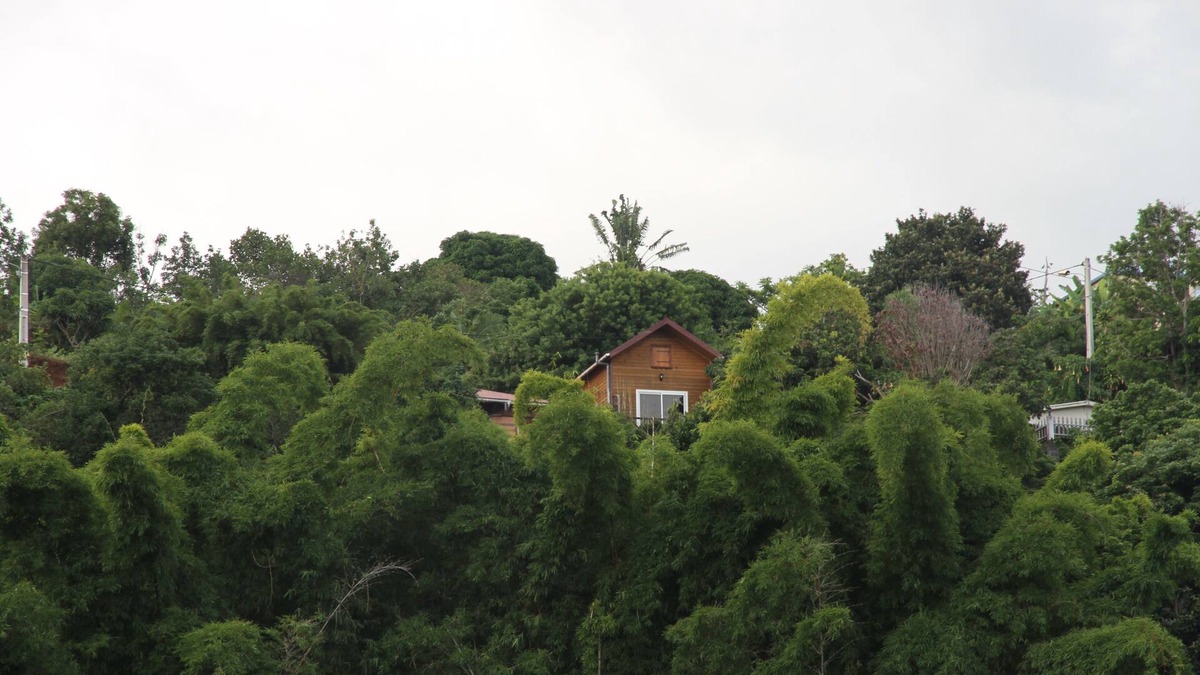 Ravine des Citrons Ski Chalet | CHARMING CHALET, OCEAN VIEW