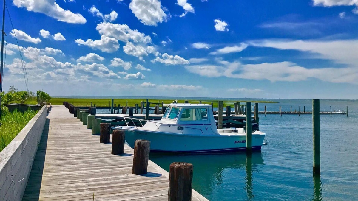 Bellport House | Charming Comfortable Family Getaway with Heated Salt Swimming Pool