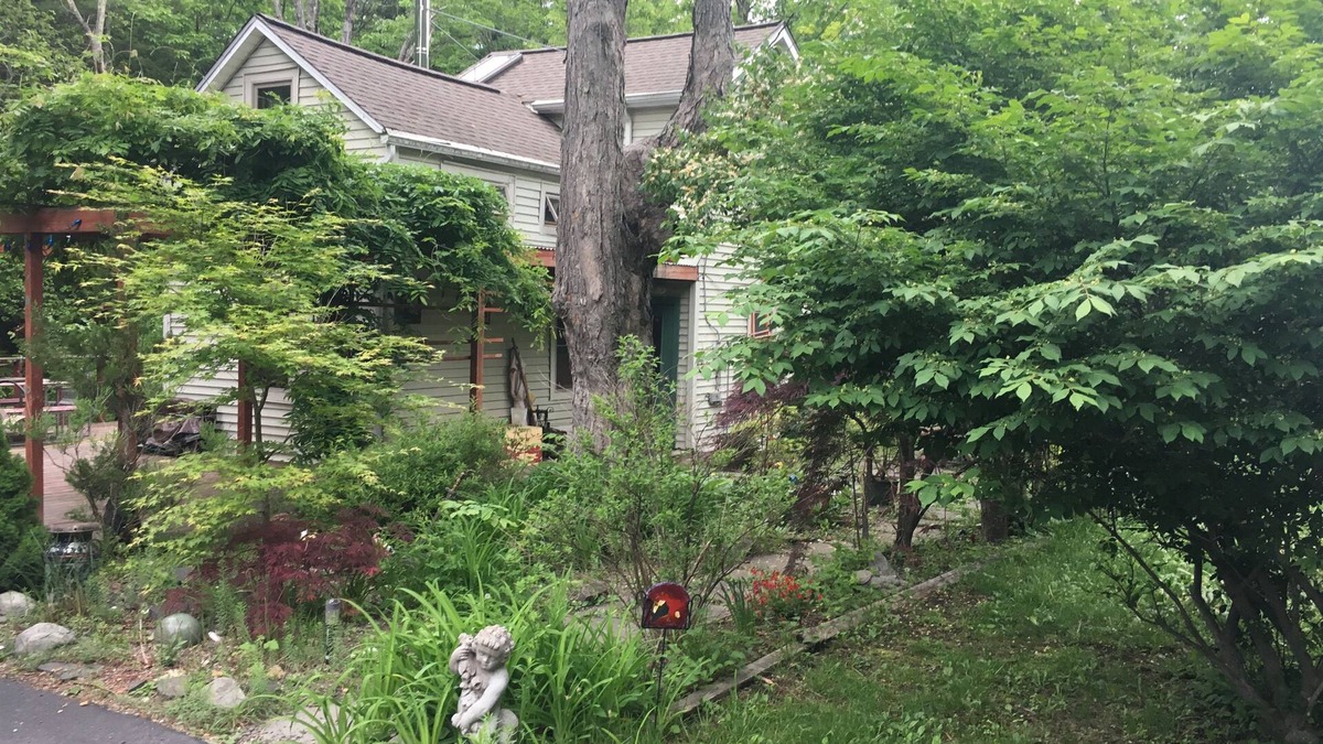 Kingston House | Charming, Comfy House in Woodstock