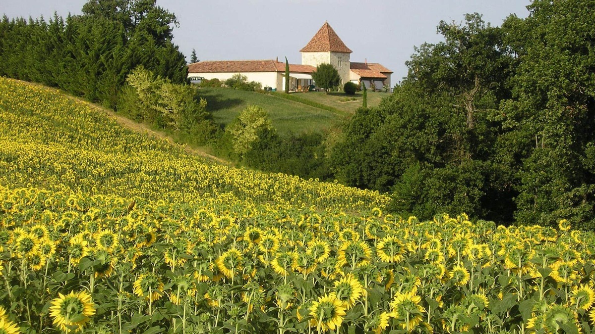 Castillon-Massas House | Charming cottage for 6 people, in a beautiful property, in the countryside, Wifi