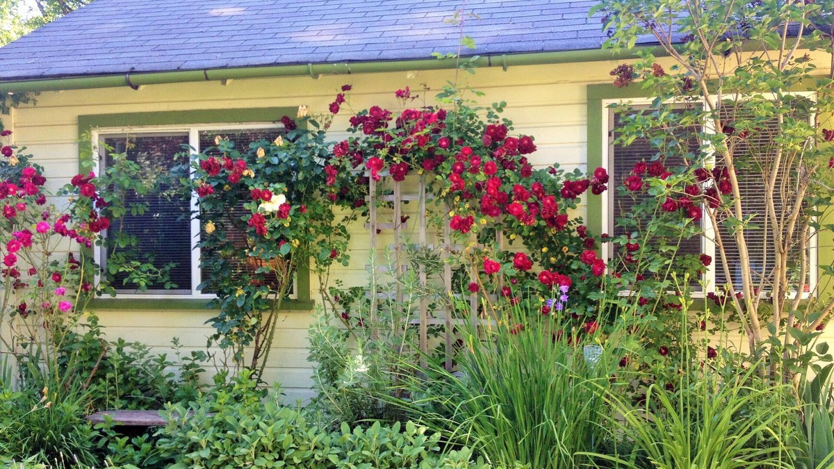 Whiteaker Cottage | Charming Cottage by CosiDesign