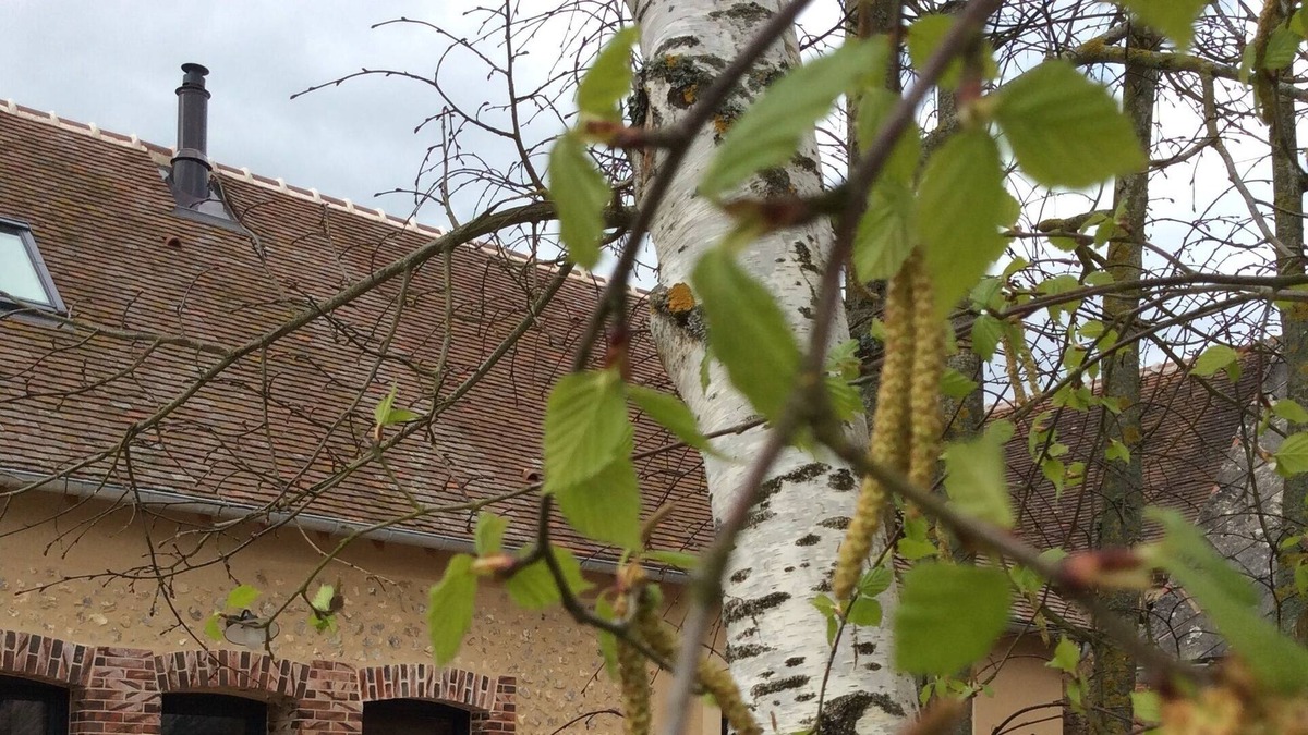 Chauffours House | Charming cottage in the countryside 15 minutes from Chartres and its famous cathedral
