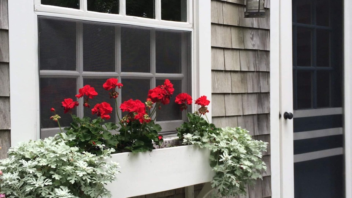 Nantucket Town House | Charming Cottage on Lily Pond in Center of Town