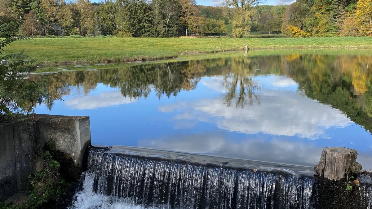 Stanfordville Cottage | Charming cottage with pond and waterfall view