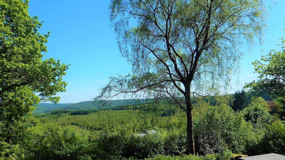 Werbomont House | Charming cottage with breathtaking views of the Ardennes forest