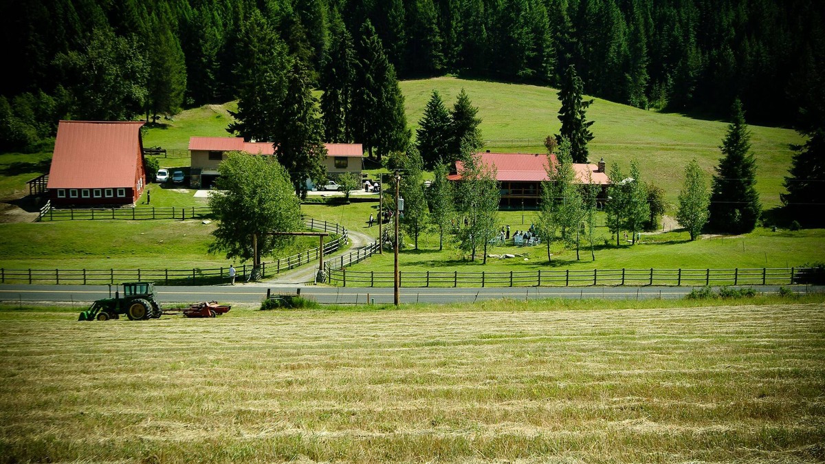 Newport Other | Charming country accommodations at Brookside Acres/horse and rider accommodation