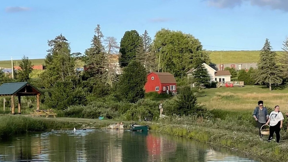 Corning Other | Charming Country Farm Stay with Spectacular Views and Fun!
