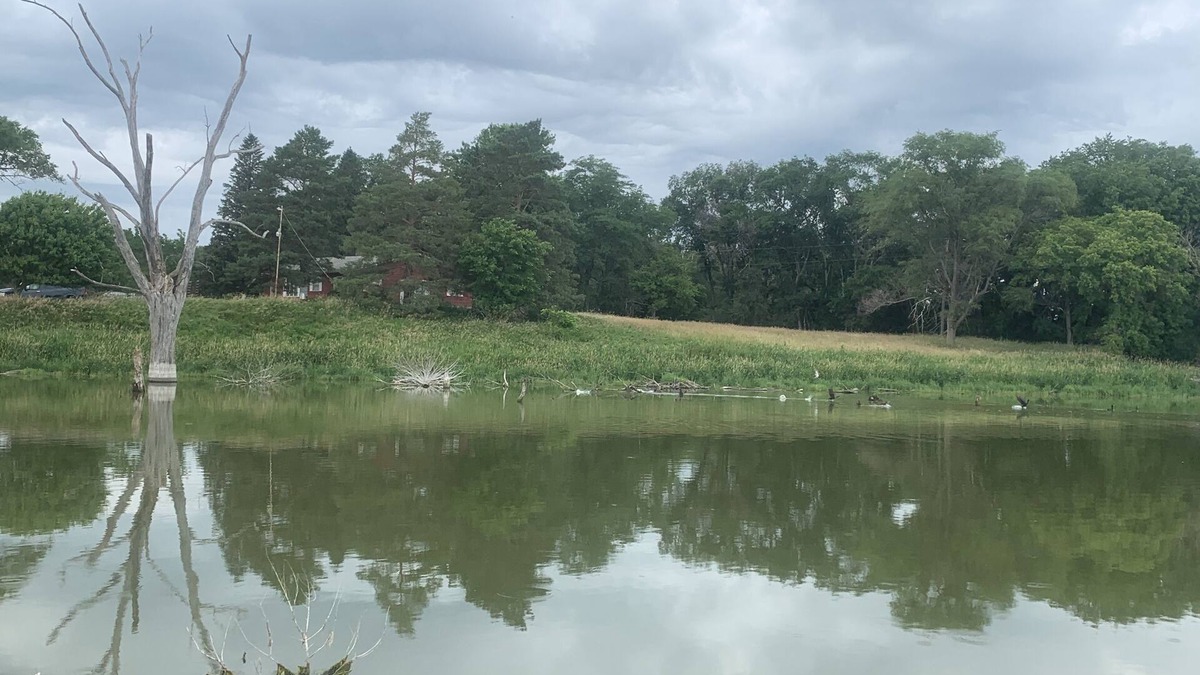 Richland County Cabin | Charming country stay at The Pond House!