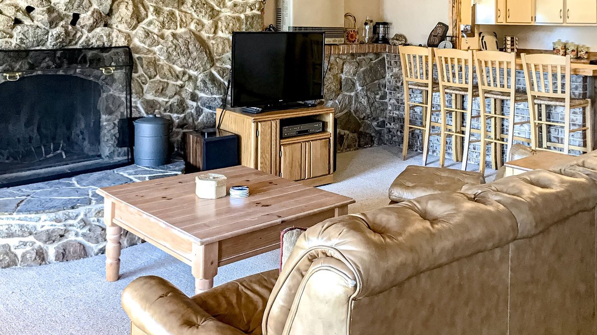 Alpine Village Cabin | Charming dog-friendly mountain getaway w/hot tub, fireplace, W/D, & great views