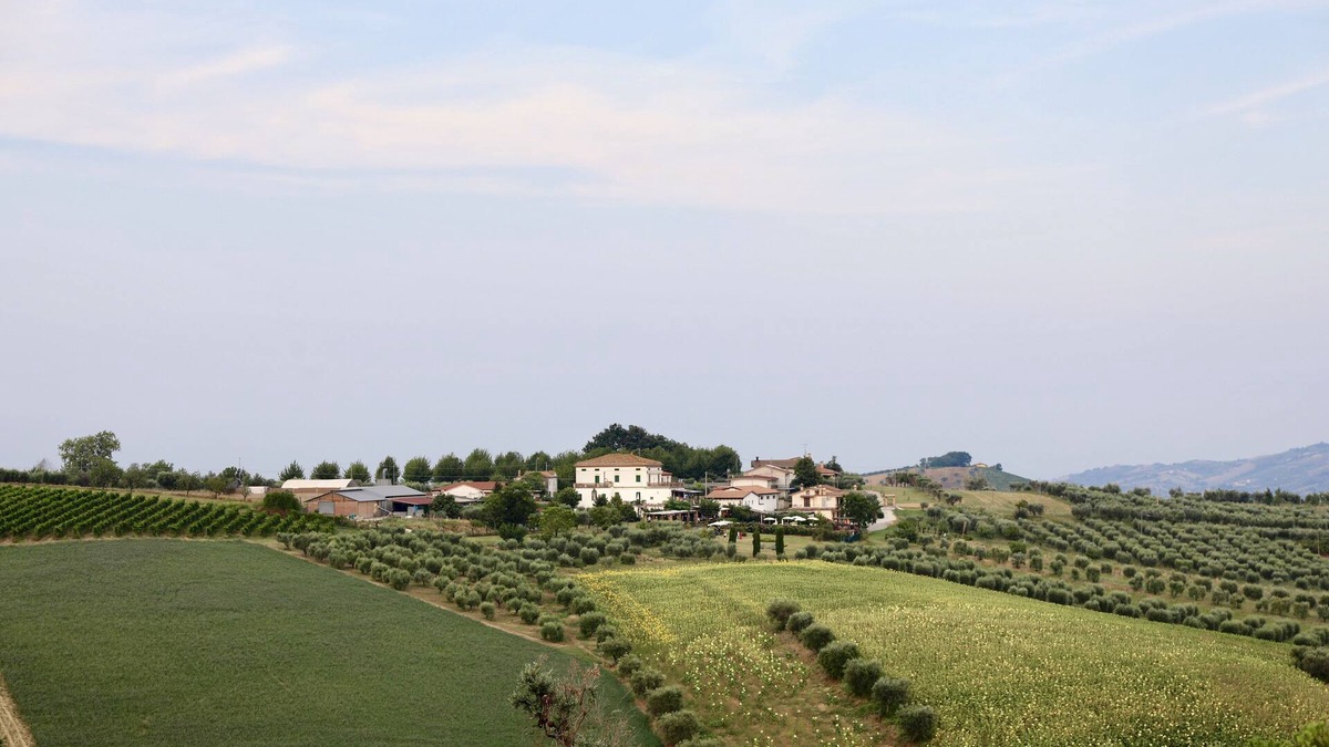 Torano Nuovo Other | Charming farmhouse in an 18th century villa with swimming pool, offers apartments and rooms
