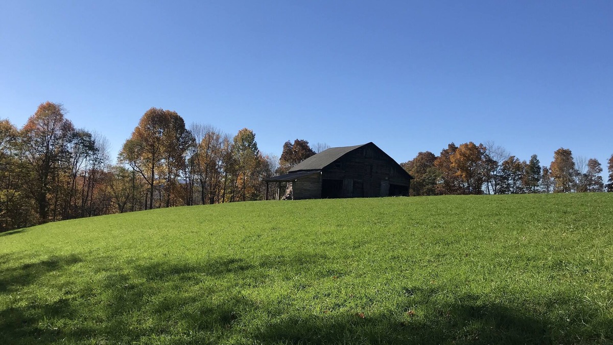 Davis House | Charming farmhouse-60 acres w/trails firepits creek close to Dolly and Canaan