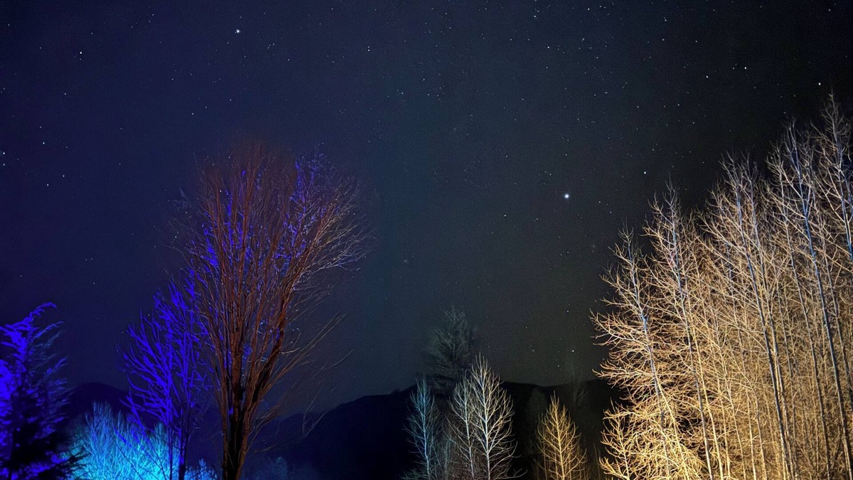 Mineral Other | Charming Farmhouse Amazing View of Mt. Rainier - Family Friendly + Game Barn