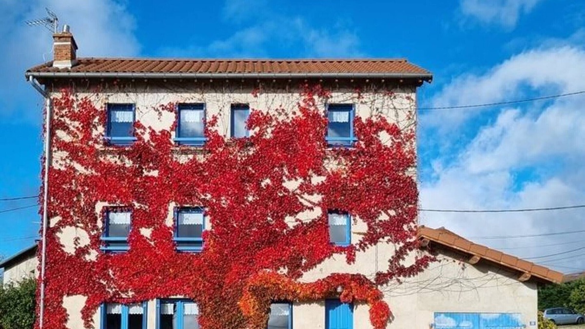 Saint-Pierre-du-Champ Cottage | Charming Cottage: 4 Bedrooms, Fireplace, Enclosed Courtyard & Garage in Tranquil Village