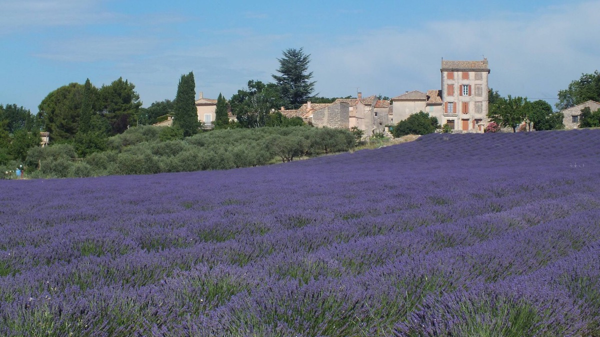 Pont Royal Cottage | CHARMING GITE IN PROVENCE BETWEEN VENTOUX AND LUBERON DETACHED HOUSE