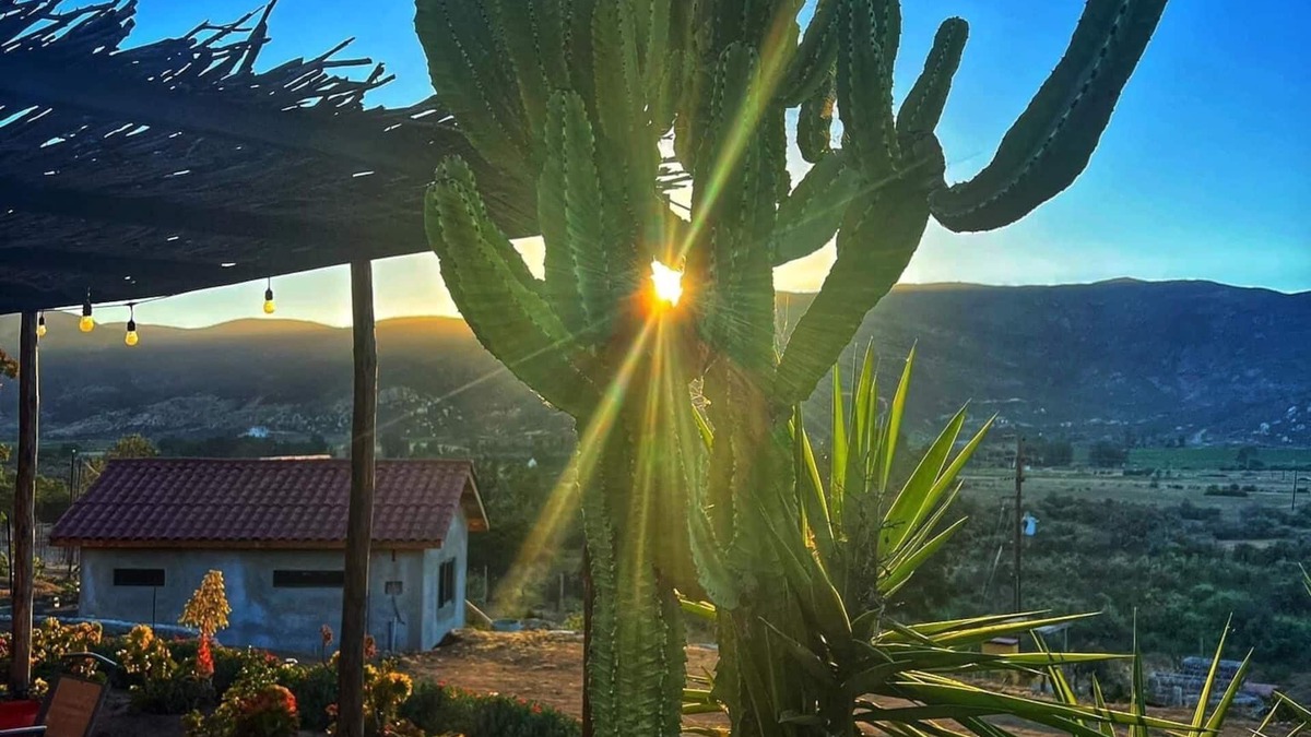 Valle de Guadalupe Cottage | Charming fully equipped cottage in Valle de Guadalupe - Early check in!