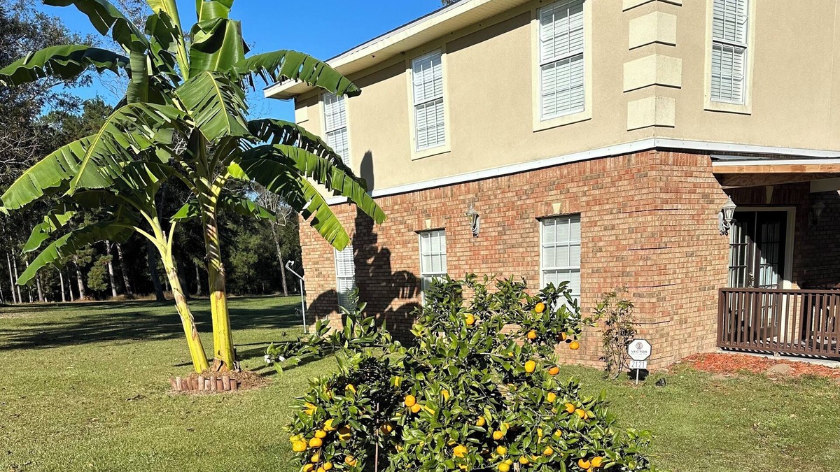 Havana Cottage | Charming Gated 2-bedroom cottage in Havana with WiFi, AC and Hot Tub.