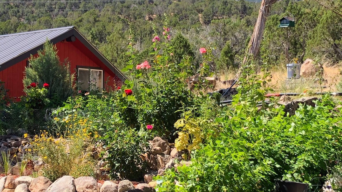 Paonia House | Charming guesthouse with panoramic views!