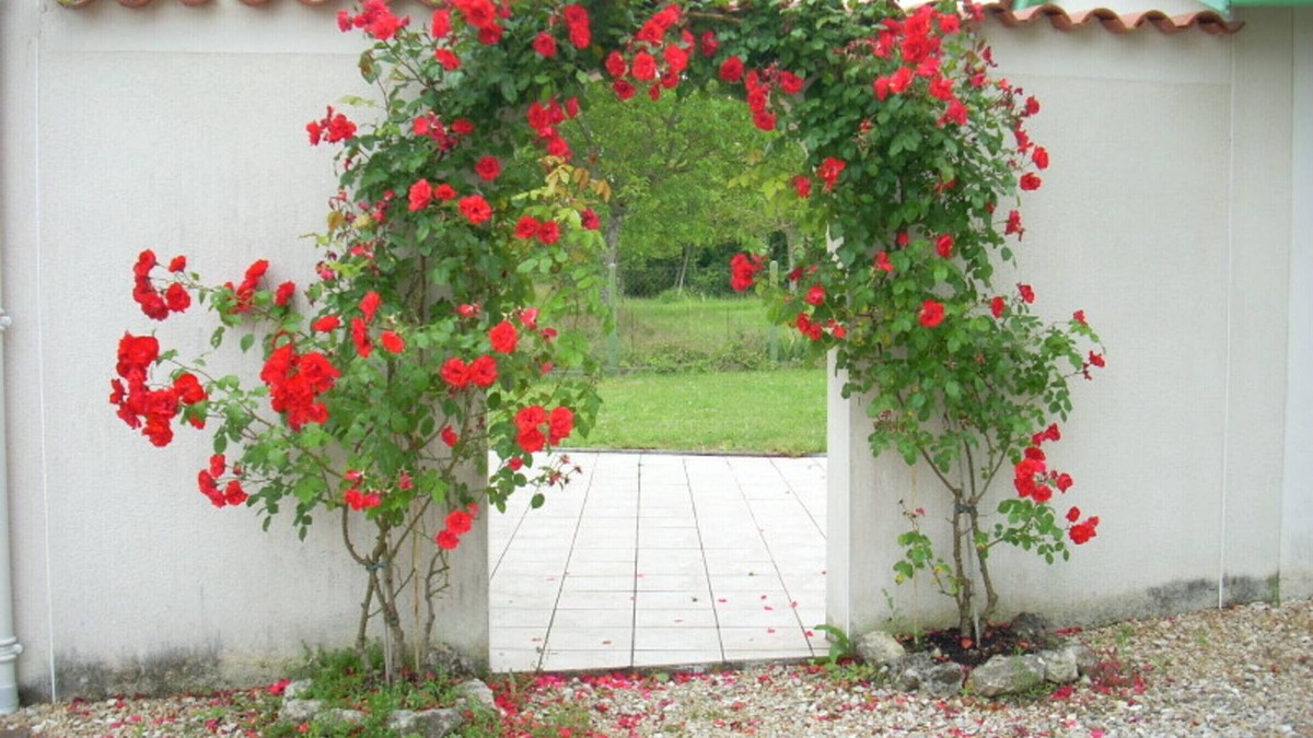 Saint-Meard-de-Drone Cottage | Charming house with terrace, enclosed garden, and pets allowed