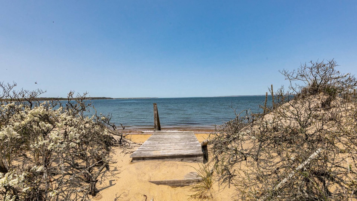 Amagansett Cottage | Charming Hampton's Beachfront Escape