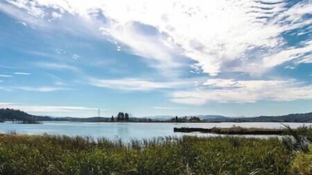 Astoria Bed & Breakfast | Charming Hideaway Overlooking The Astoria Waters