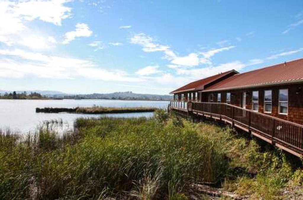 Astoria Apartment | Charming Hideaway Overlooking The Astoria Waters