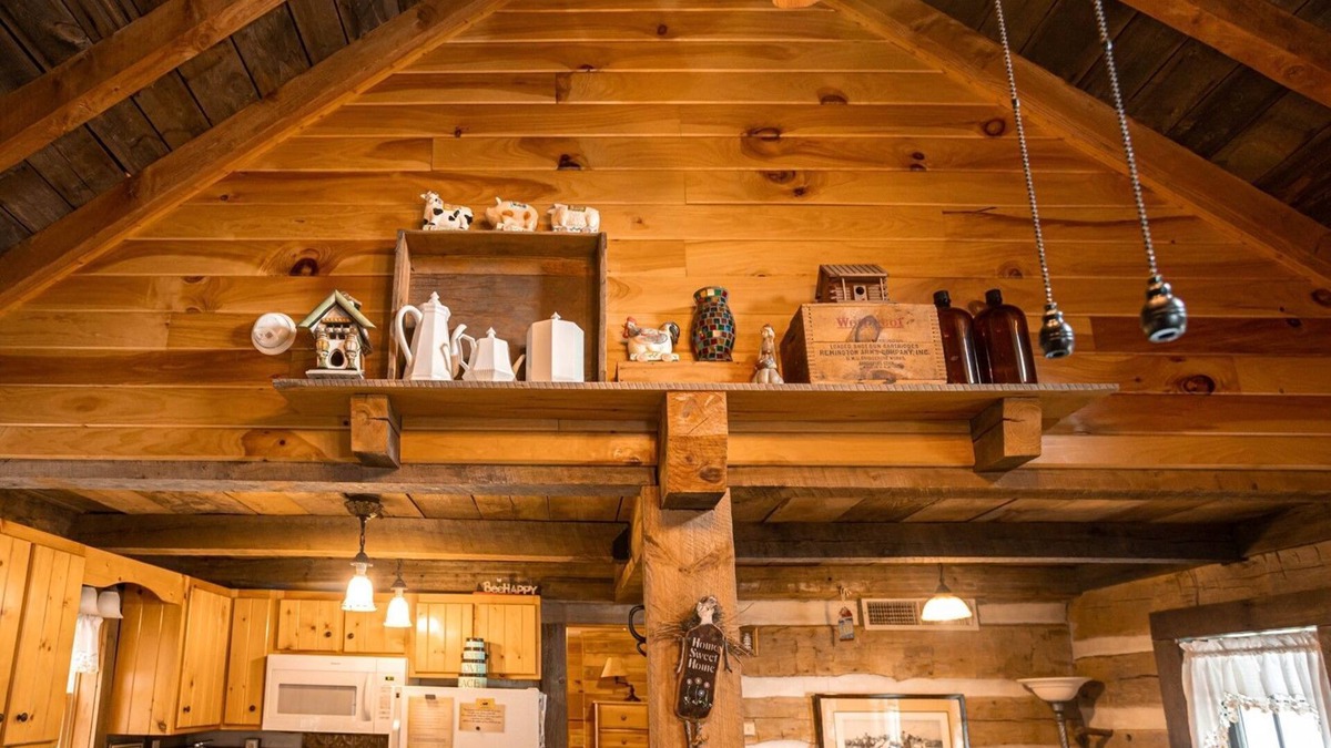 Hiwassee Cabin | Charming, Historic Cottage Claytor Lakefront 1BS4 - Kirkner Lake Cabin