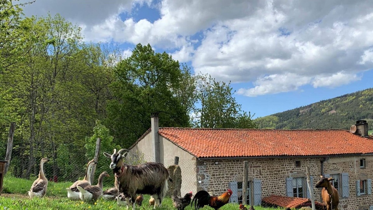 Sauvain Cottage | Charming Historical Cottage with Modern Amenities, Fireplace, and Garden in Scenic French Village