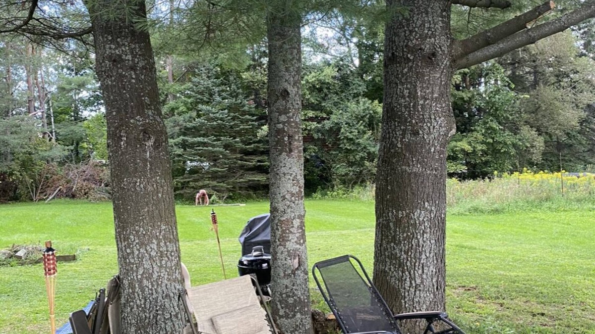 Rangeley House | Charming home quick walk to beach and shops. 8 minutes from Saddleback