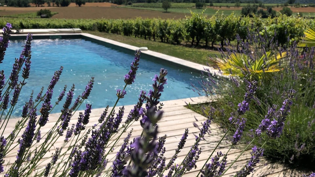 Belmont-Luthezieu House | CHARMING HOUSE WITH SUPERB SWIMMING POOL NEAR THE GRAND COLOMBIER.