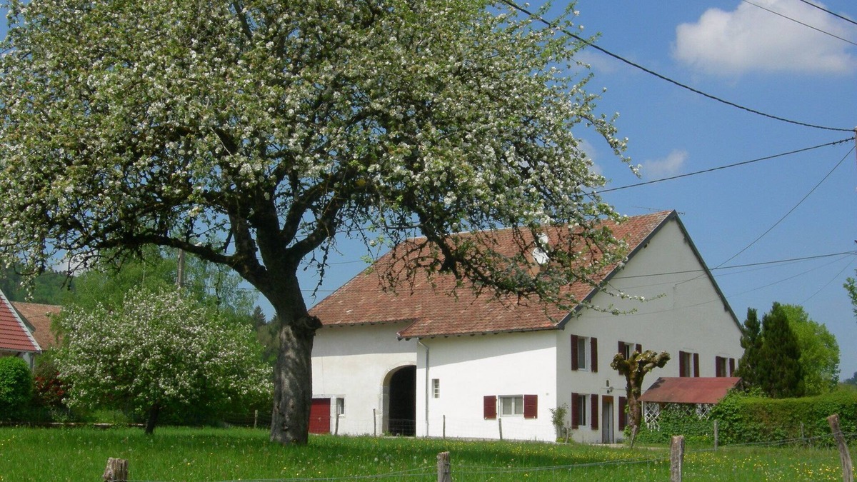 Bourg-de-Sirod House | Charming HOUSE COMTOISE, spacious, large garden, private parking