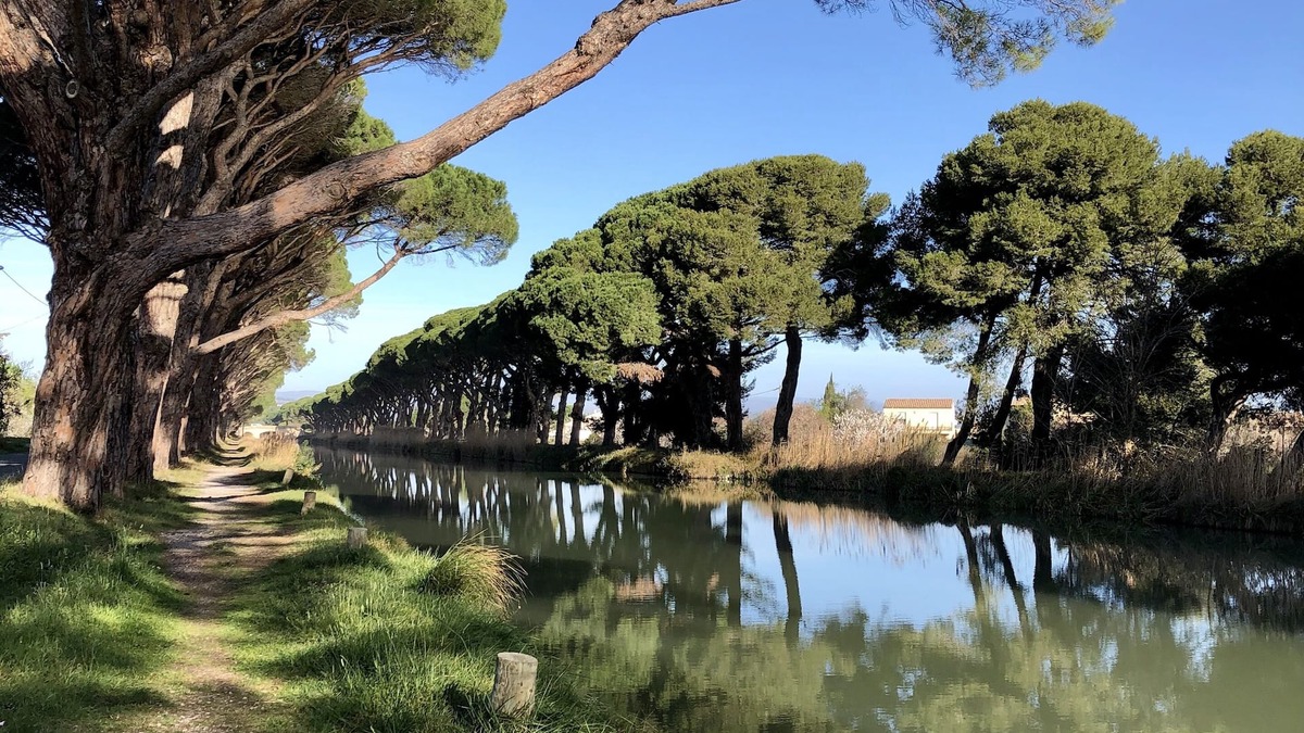 Salleles-d'Aude House | Charming house on Canal du Midi near Narbonne and 30 minutes from the sea
