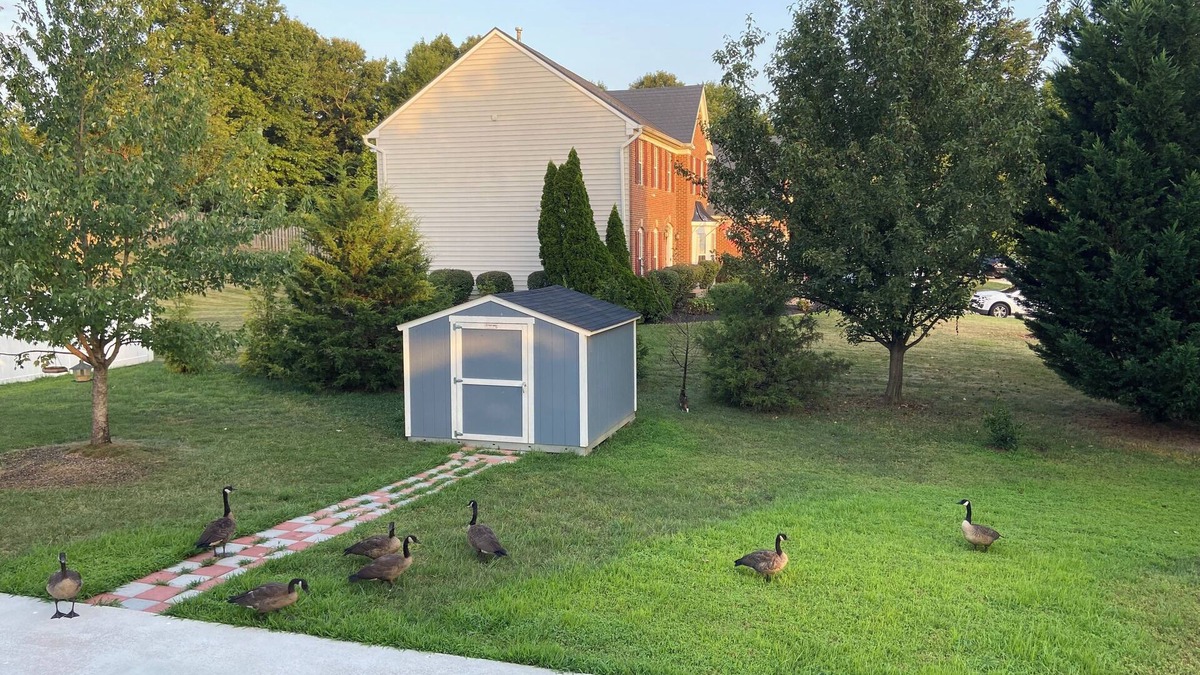 Dale City House | Charming house in fabulous Woodbridge with AC, WiFi