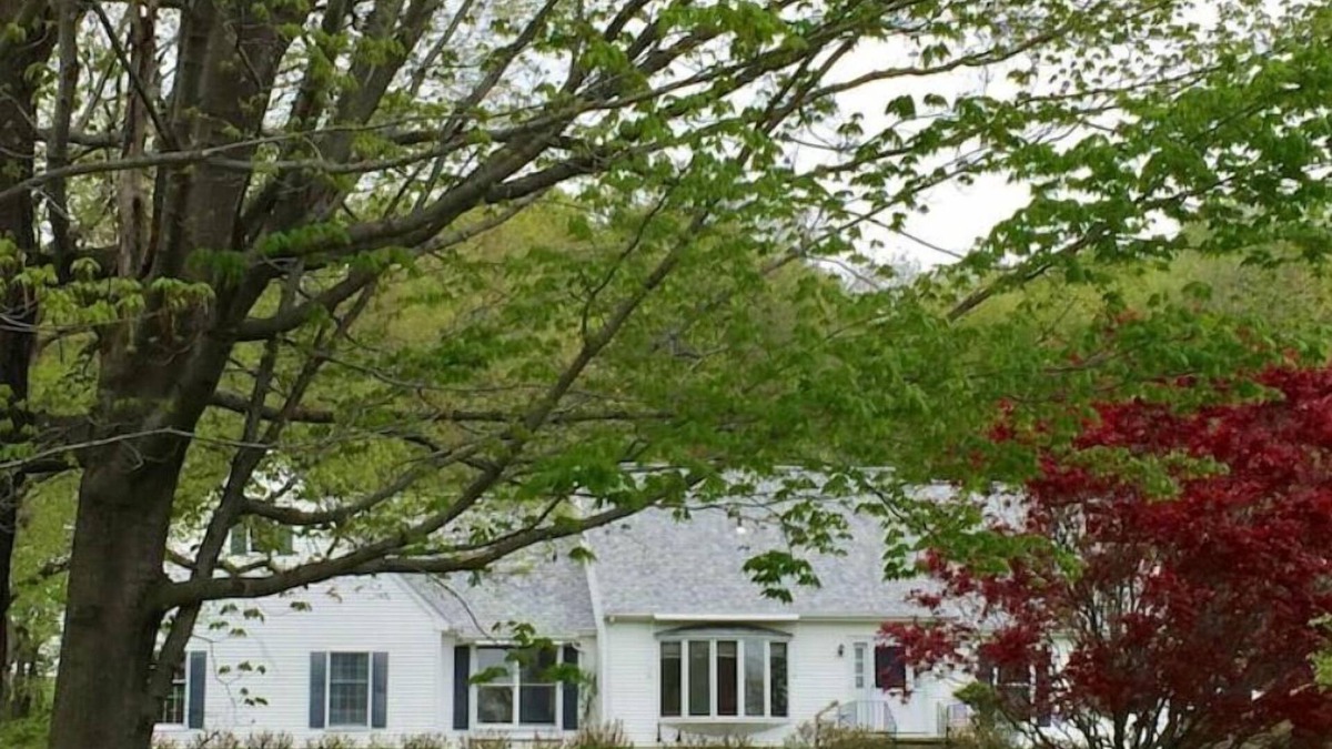 Dover Plains House | Charming house in Millbrook next to a horse farm