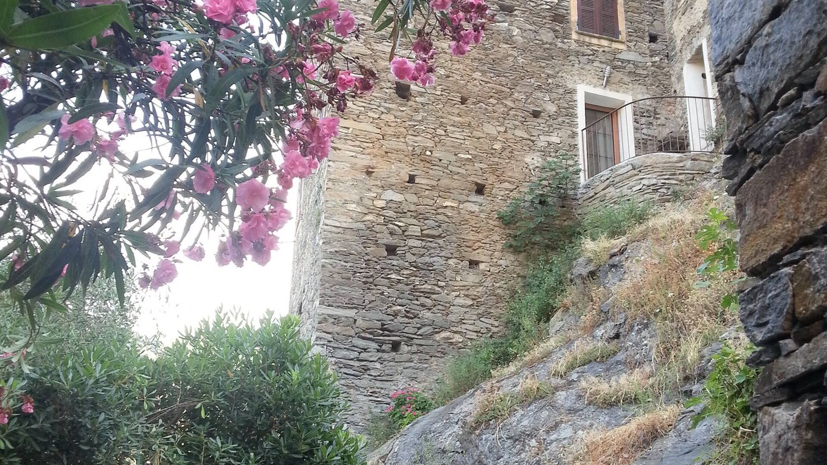 Casamozza House | CHARMING HOUSE IN TYPICAL VILLAGE OF HAUTE CORSE