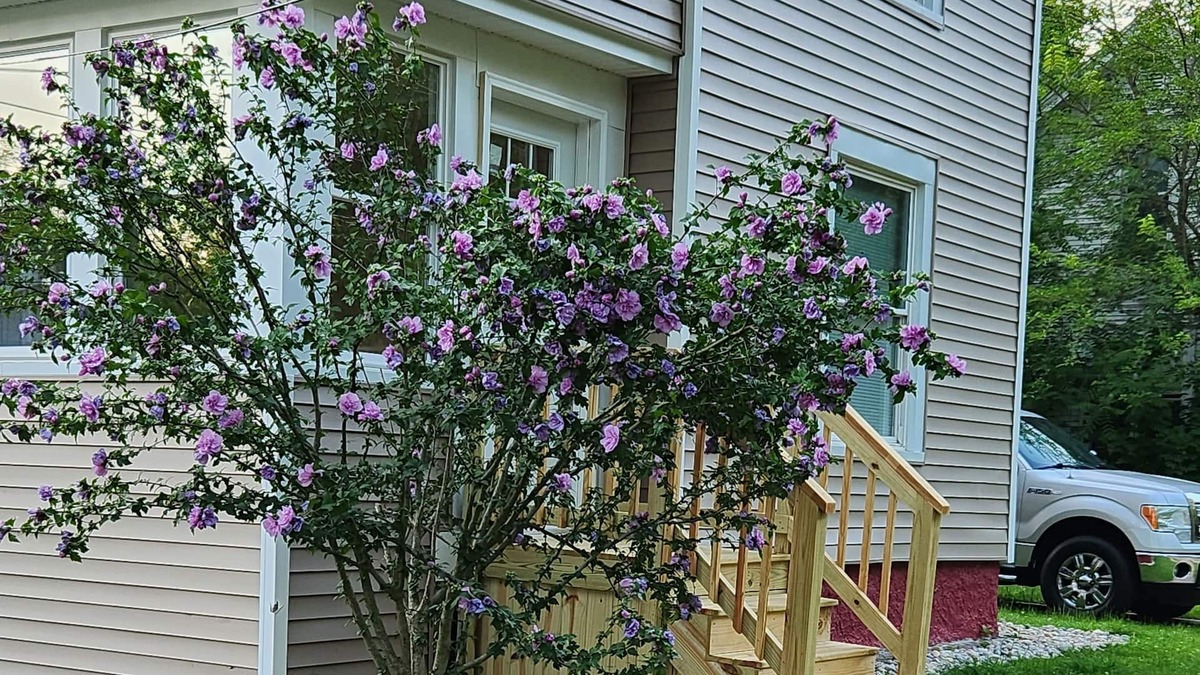 Albion House | Charming in Albion, MI
