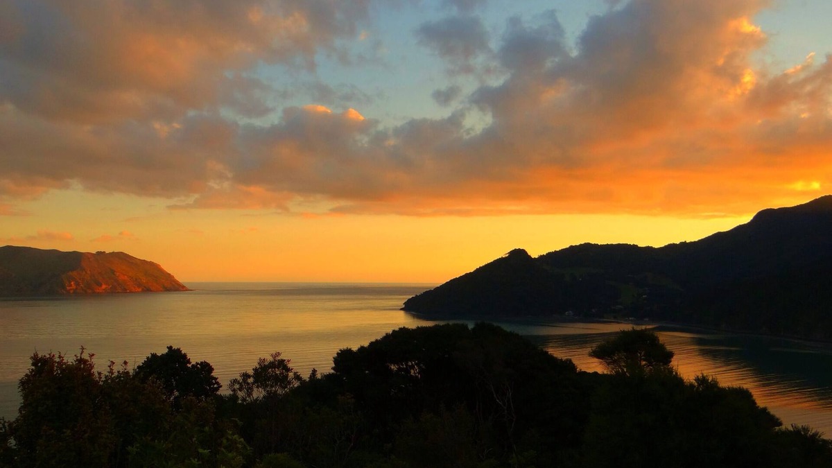 Huia Cottage | Charming Kiwi batch by the sea.