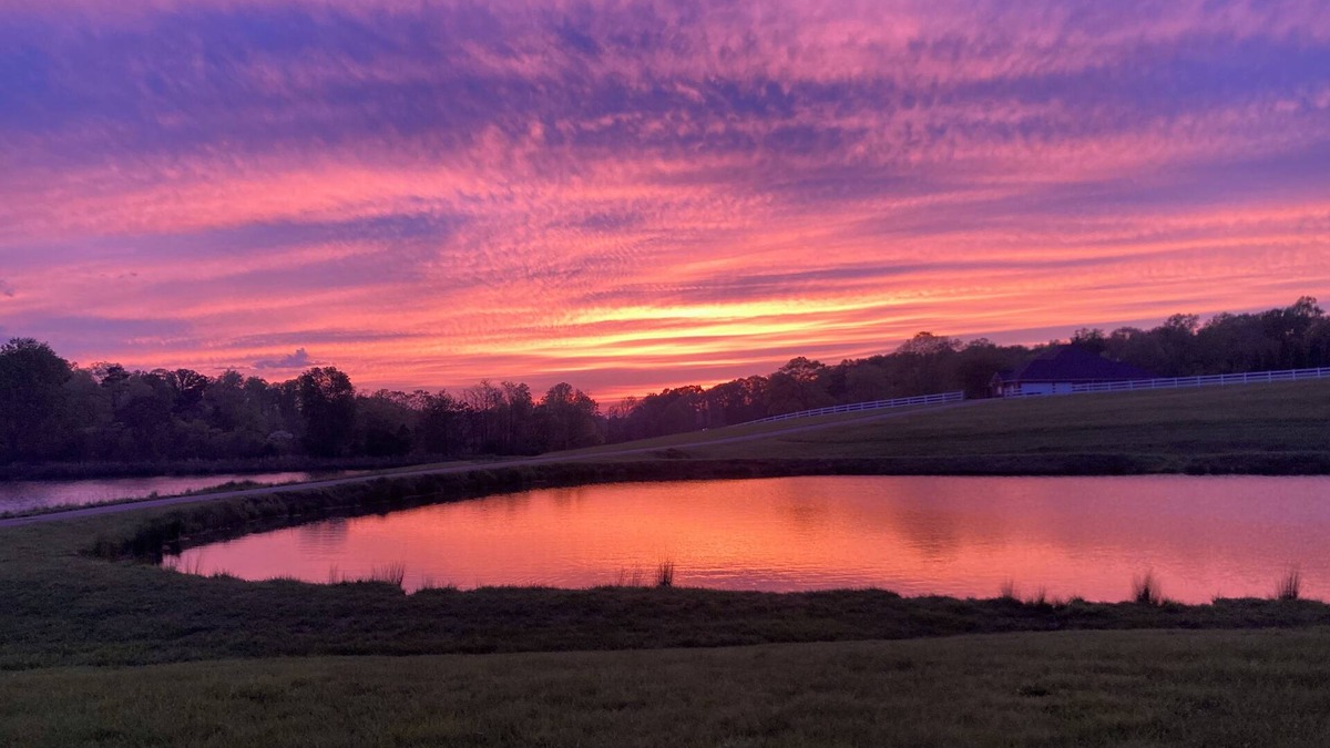 Kernersville Cottage | Charming Lakefront Cottage in Kernersville - Relax with nature!
