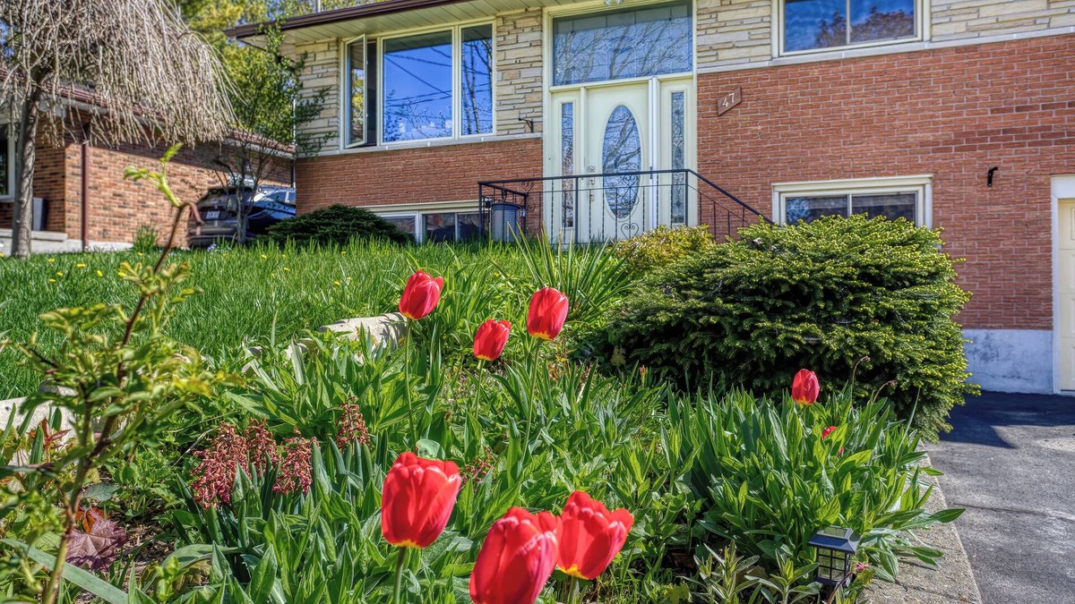 Guelph House | Charming legal one bedroom unit on a quiet street