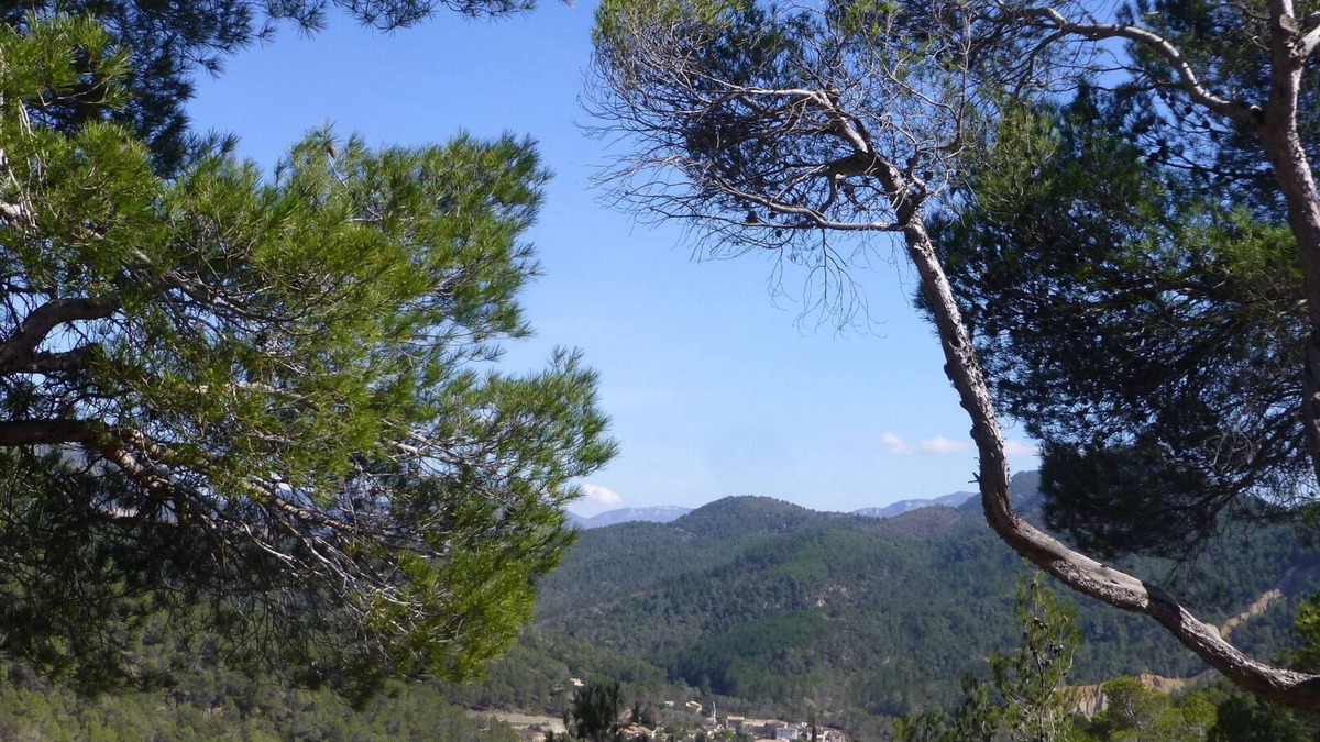 Sias House | Charming little Provencal country house in a quiet location with private pool