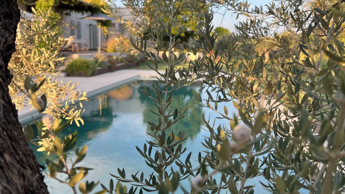 Puyvert House | Charming lodge near Lourmarin, olive grove pool and 11kW recharging point