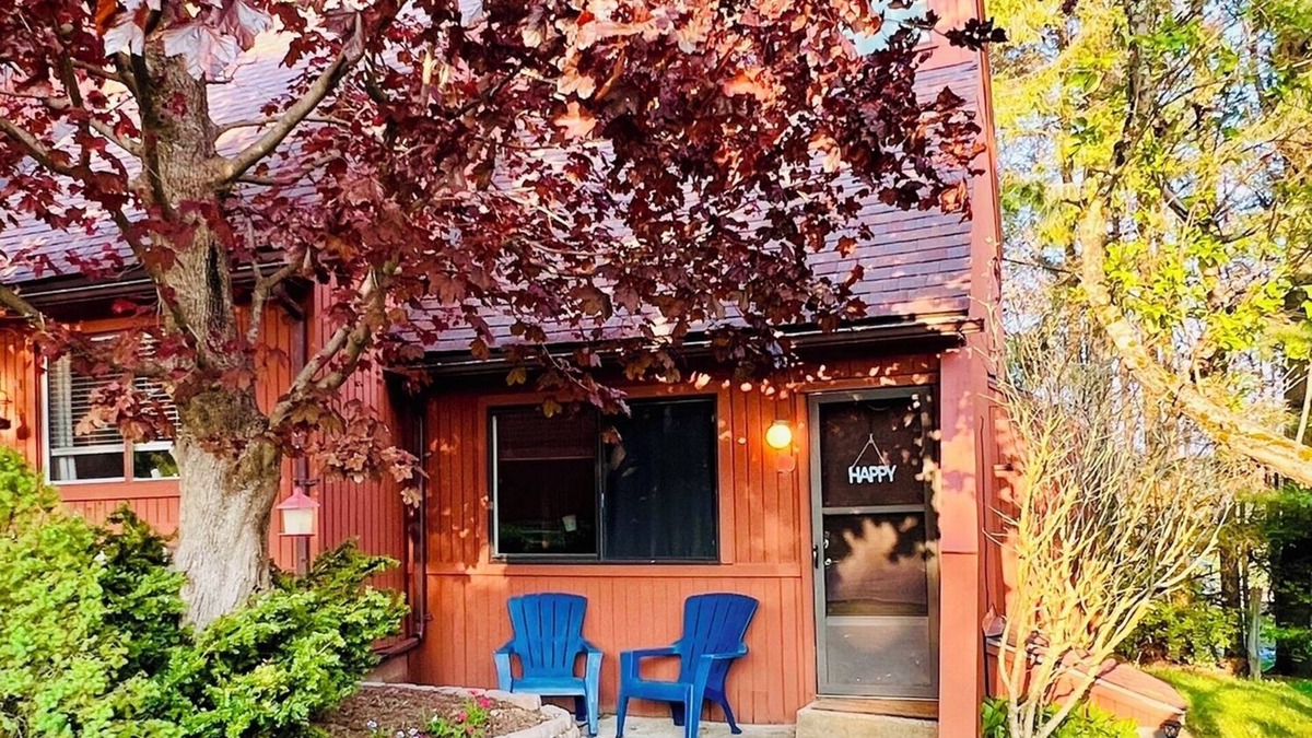 Canaan Valley Cabin | Charming Loft Cabin - Best Location Davis, Thomas, Canaan Valley. Cold AC