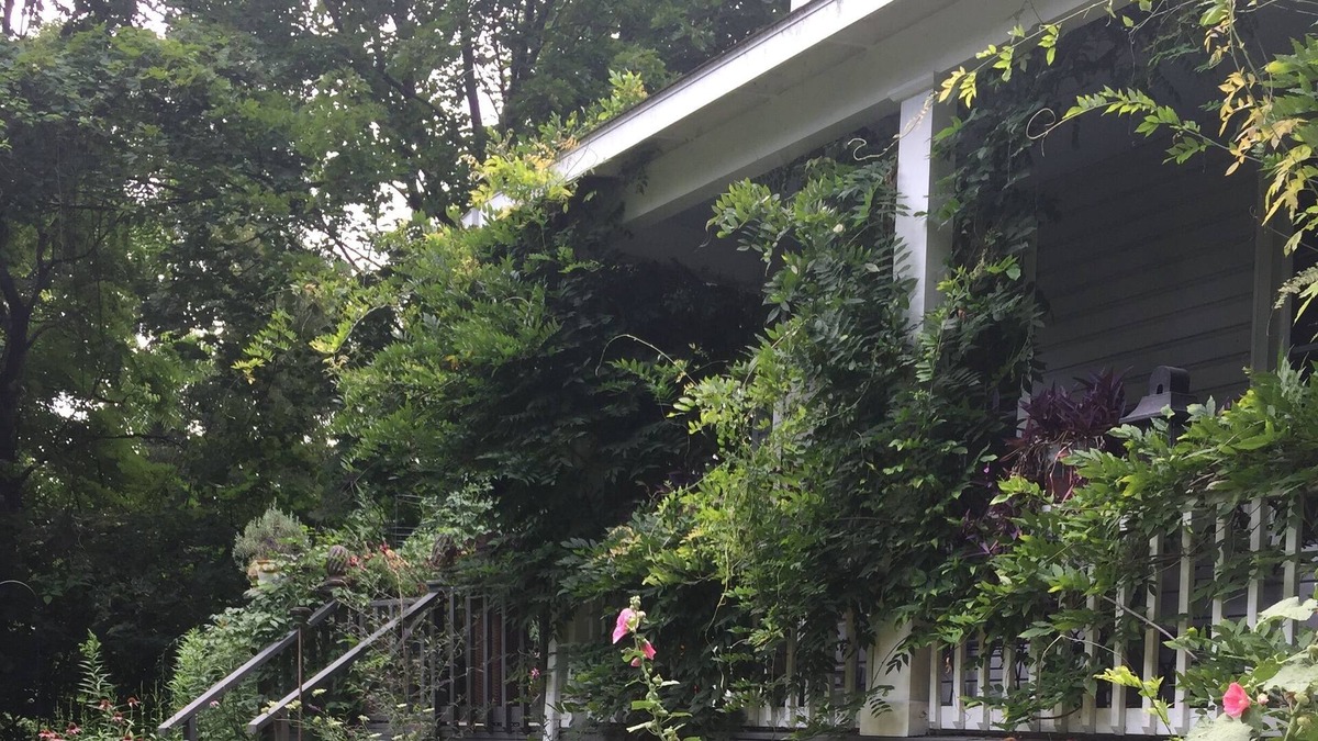 Malden House | Charming Malden-on-Hudson-minutes to Saugerties