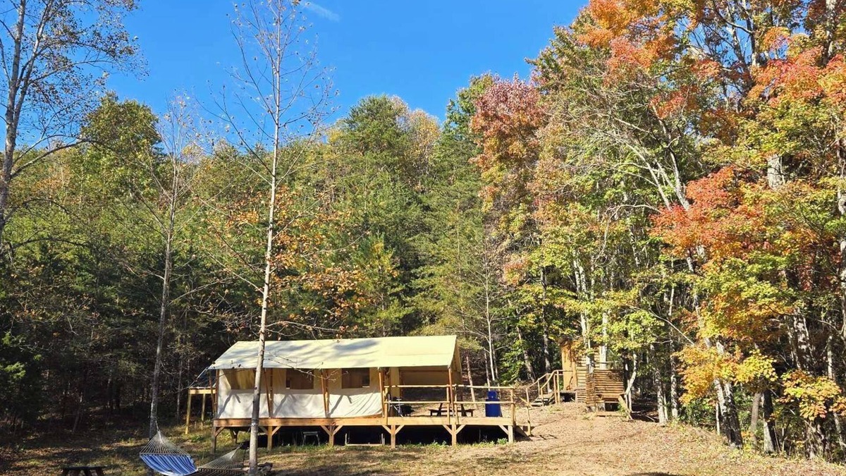 Lenoir Cabin | Charming meadow camp in the forest mountains near fish pond. Events are OK. Pet
