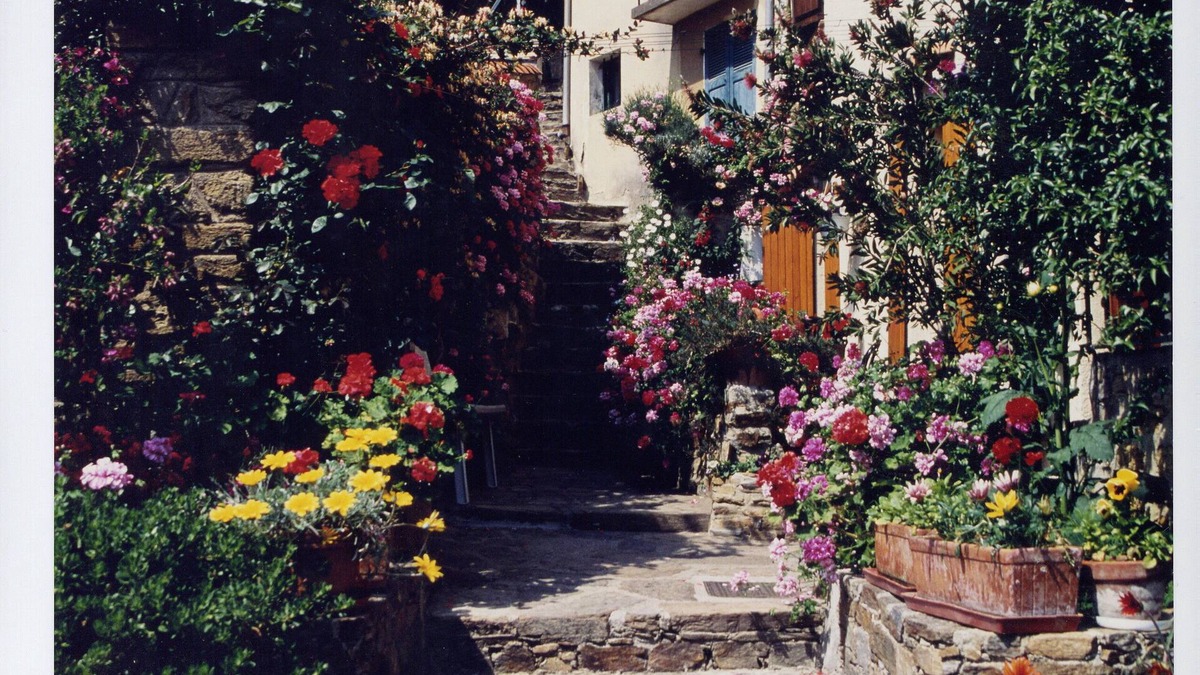 Bormes-Les-Mimosas Cottage | Charming Medieval Cottage in the Heart of Village